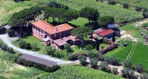 Il Pavone