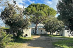 Tenute Masseria Notari