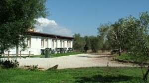 Terra d’Ulivi